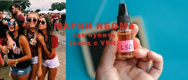 шишки Арсеньев