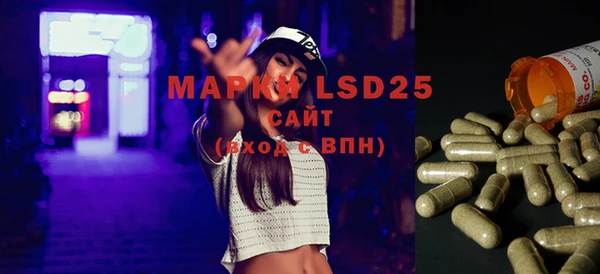 шишки Арсеньев