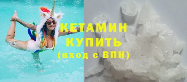шишки Арсеньев