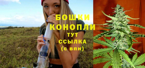шишки Арсеньев