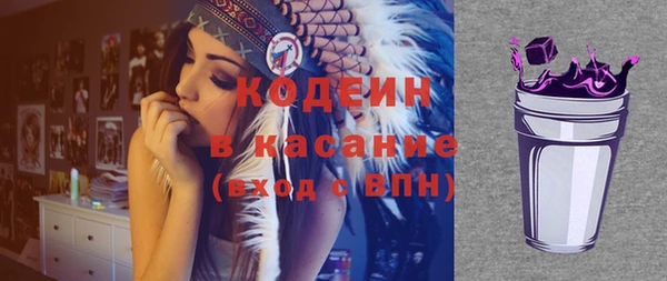 шишки Арсеньев